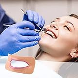HUWENJUN123 4 Piezas de Diferentes Formas de Labios dentales Modelo de Laboratorio...